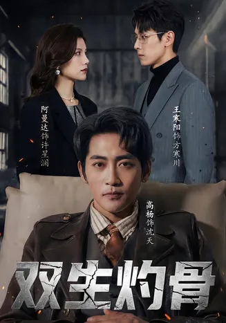 双生灼骨在线观看