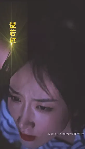 龙少别虐了夫人已重生在线观看