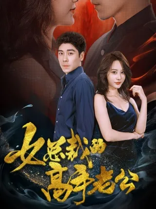 女总裁的高手老公在线观看