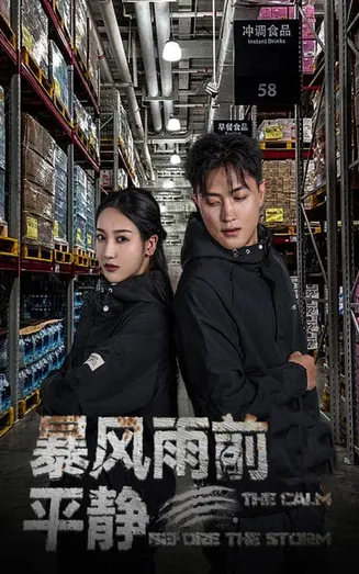 暴风雨前的平静在线观看