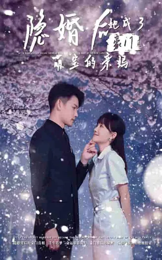 隐婚后，她成了豪门萌宝的亲妈在线观看
