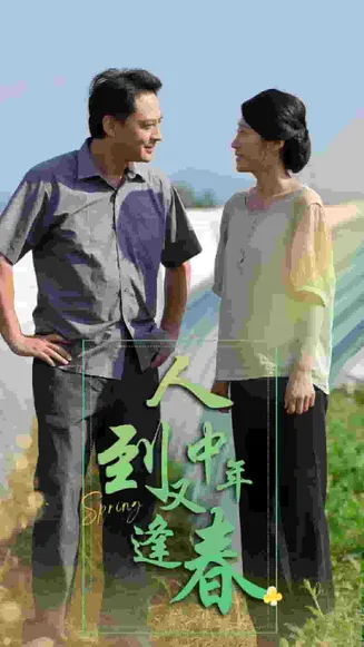 人到中年又逢春在线观看