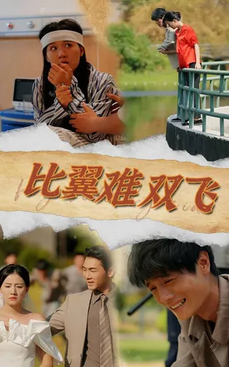 比翼难双飞在线观看