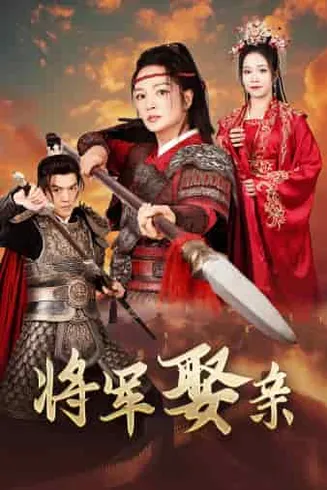将军娶亲在线观看
