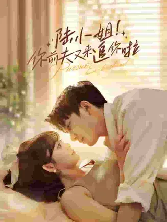 陆小姐！你前夫又来追你啦在线观看