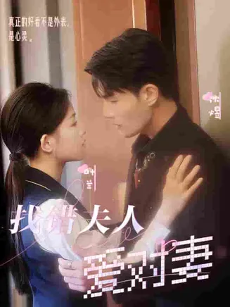 找错夫人爱对妻在线观看