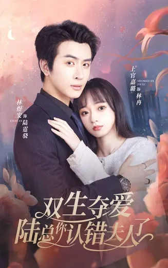 双生夺爱陆总你认错夫人了在线观看