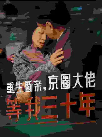 重生断亲京圈大佬等我三十年在线观看