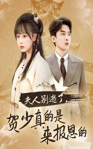 夫人别逃了贺少真的是来报恩的在线观看
