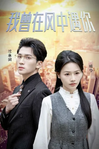 我曾在风中遇你在线观看