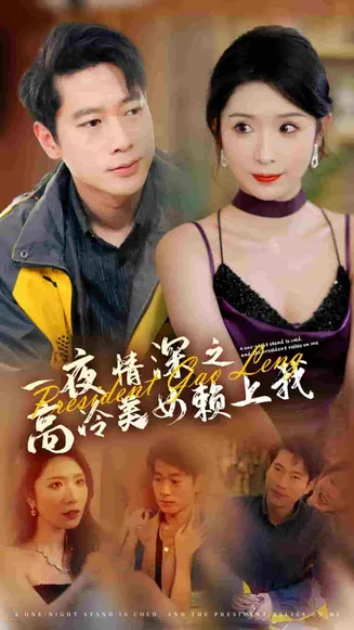 一夜情深之高冷美女赖上我在线观看