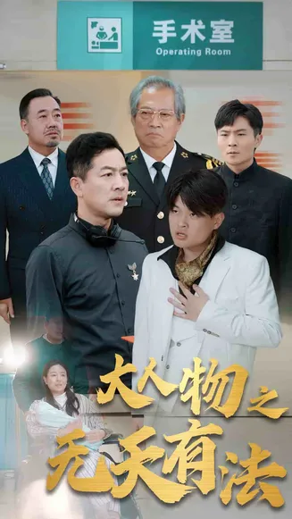 新大人物之无天有法在线观看