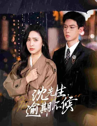 沈先生逾期不候在线观看