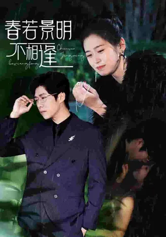 春若景明不相逢在线观看