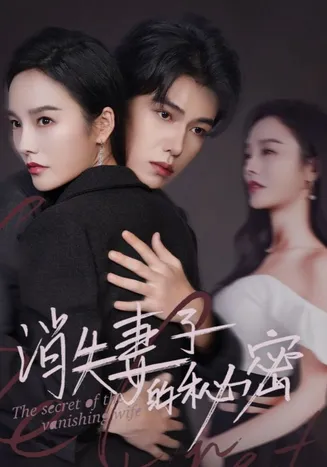 消失妻子的秘密在线观看