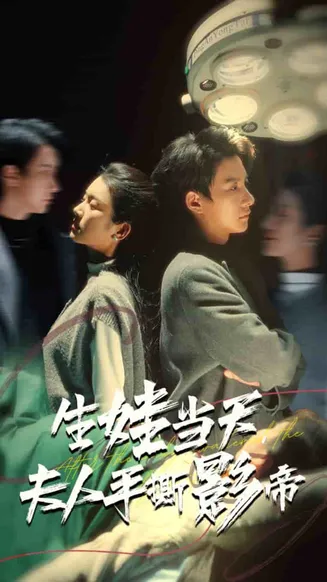 生娃当天夫人手撕影帝在线观看