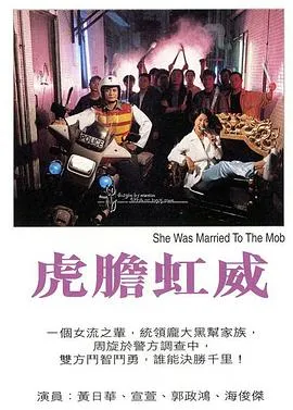 虎胆虹威粤语在线观看
