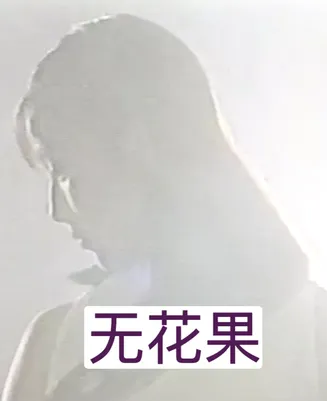 无花果（1996）在线观看