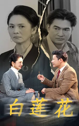 白莲花 短剧版在线观看