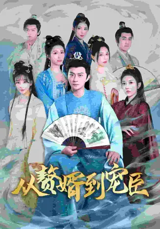 从赘婿到宠臣在线观看