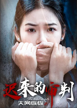 天网恢恢之迟来的审判在线观看