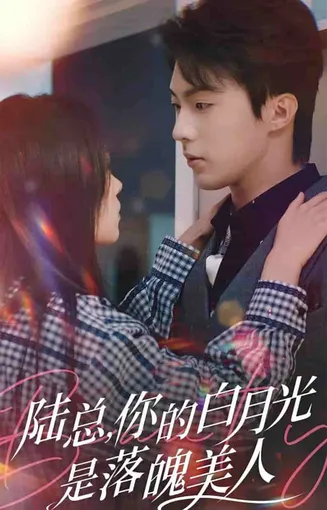 陆总你的白月光是落魄美人在线观看
