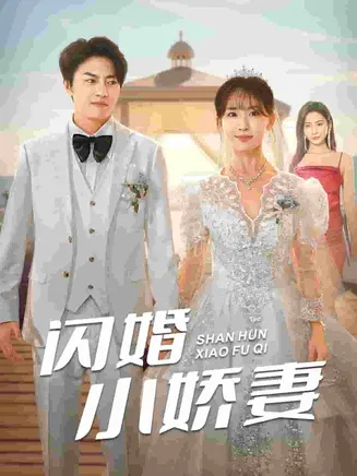 闪婚小娇妻在线观看