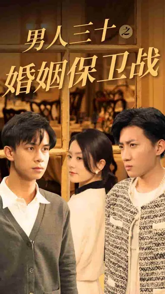 男人三十之婚姻保卫战在线观看
