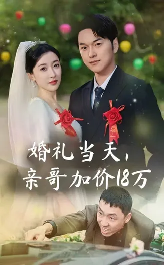 婚礼当天亲哥加价18万在线观看