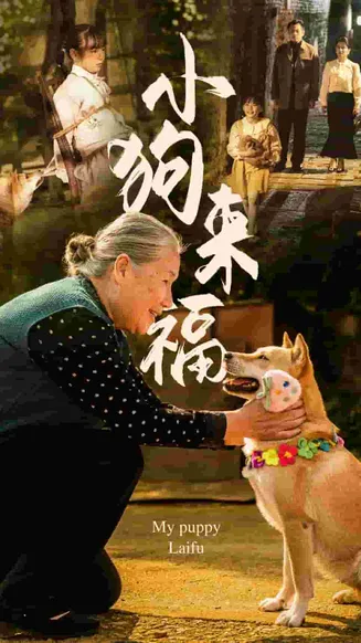 小狗来福在线观看