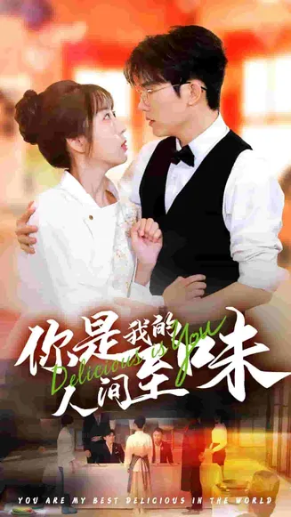 你是我的人间至味 短剧版在线观看