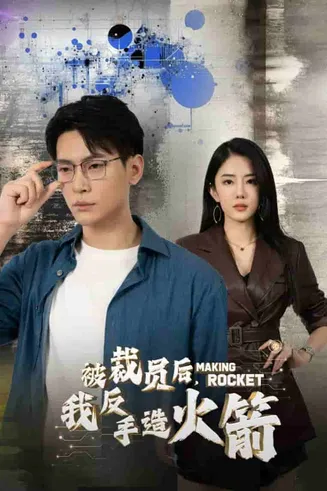 被裁员后，我反手造火箭在线观看