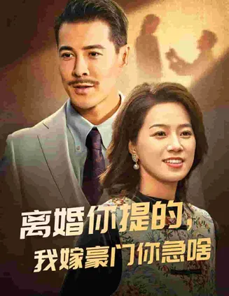 离婚你提的，我嫁豪门你急啥在线观看