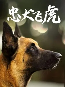 忠犬飞虎在线观看