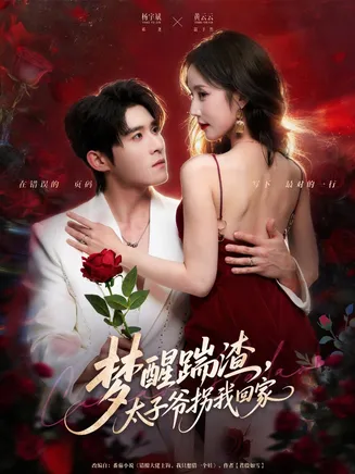 梦醒踹渣，太子爷拐我回家在线观看