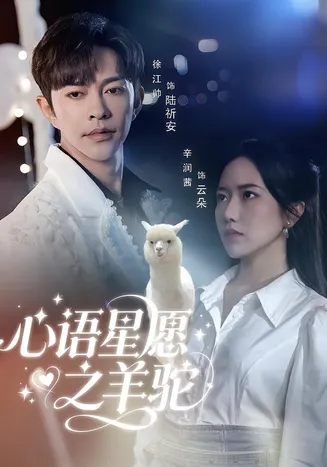 心语星愿之羊驼在线观看