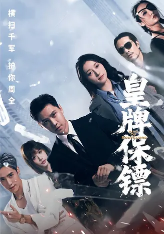 皇牌保镖在线观看