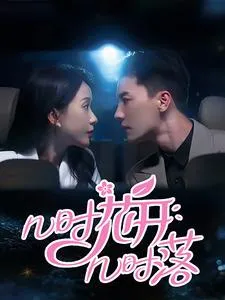 几时花开几时落在线观看