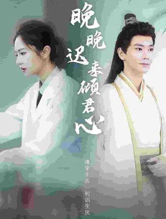 晚晚迟来倾君心在线观看