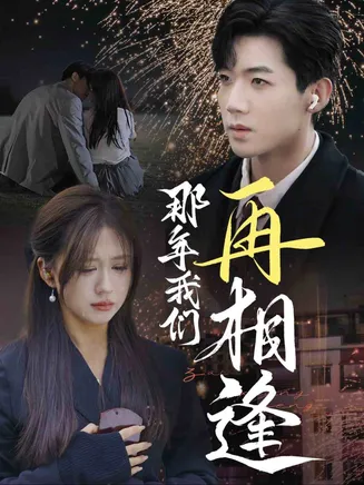 那年我们再相逢在线观看