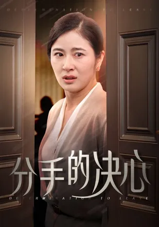 分手的决心 短剧版在线观看