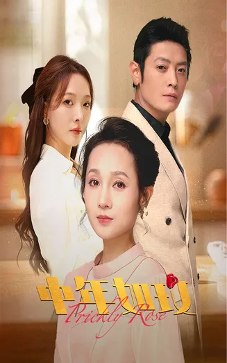 中年如玫在线观看