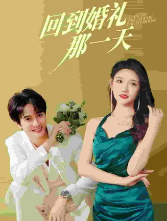 回到婚礼那一天在线观看