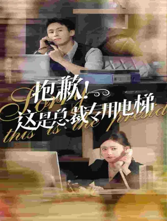 抱歉这是总裁专用电梯在线观看