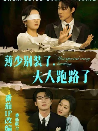 薄少别装了夫人跑路了在线观看