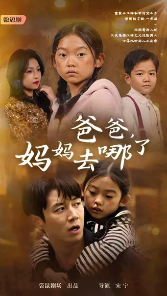 爸爸，妈妈去哪了在线观看