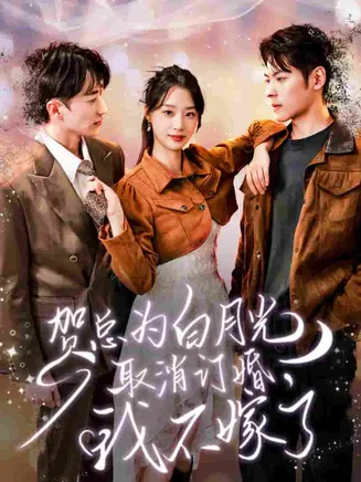 贺总为白月光取消订婚,我不嫁了在线观看