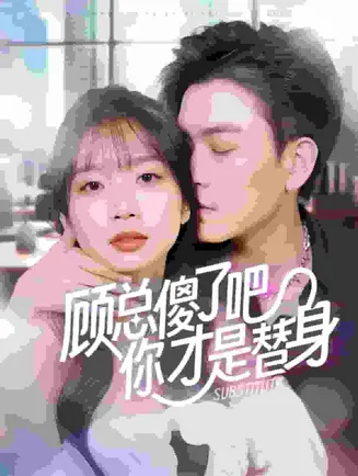 顾总傻了吧你才是替身在线观看