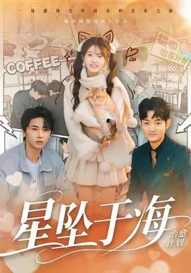 星坠于海在线观看