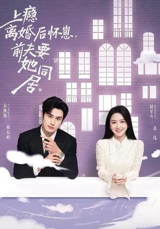 上瘾离婚后怀崽，前夫要她同居在线观看